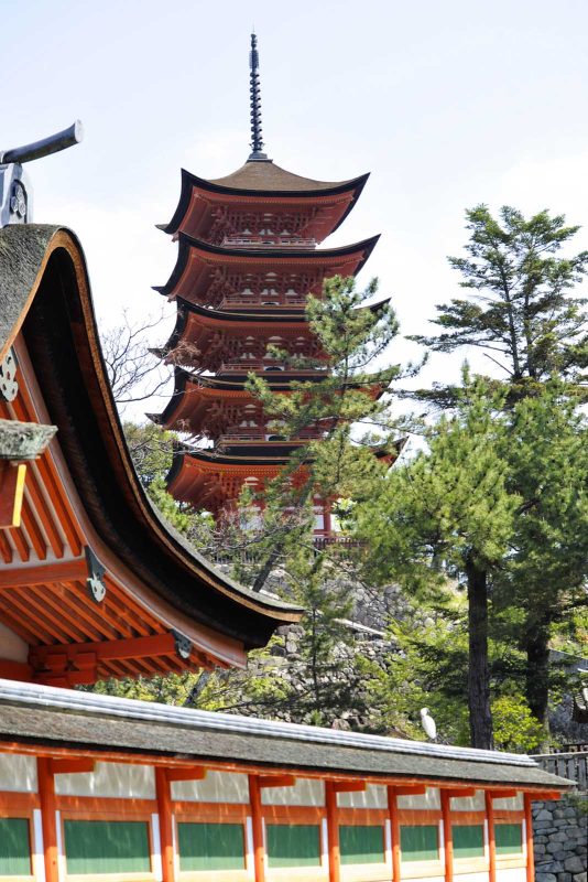Miyajima, a small island in Hiroshima Bay, Japan, is known for its forests and ancient temples.