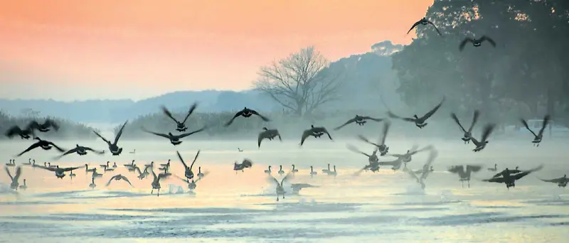 8 Night Southeast Sea Islands and Land Tour aboard American Eagle