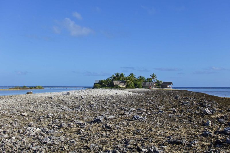 A Lindblad expedition comes upon locals in thatch huts in the South Pacific.