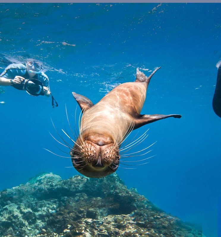 Lindblad Expeditions