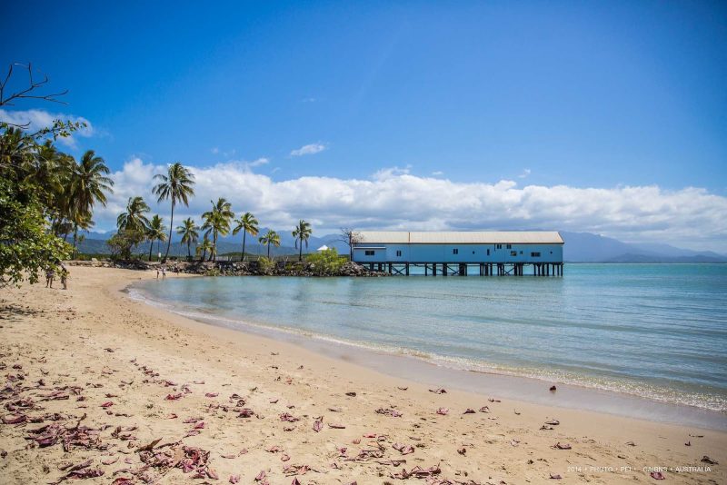 A beautiful beach in Cairns, Queensland, Australia.