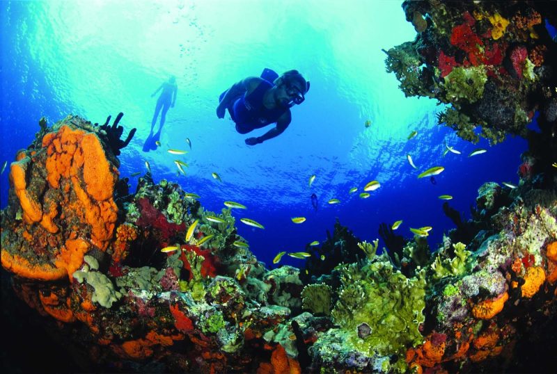 Grab your scuba gear and have a great dive on the candy-colored reefs near Buck Island on St. Croix in the U.S. Virgin Islands.