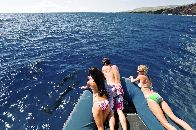 Friends watch friendly spinner dolphins off Hawaii.