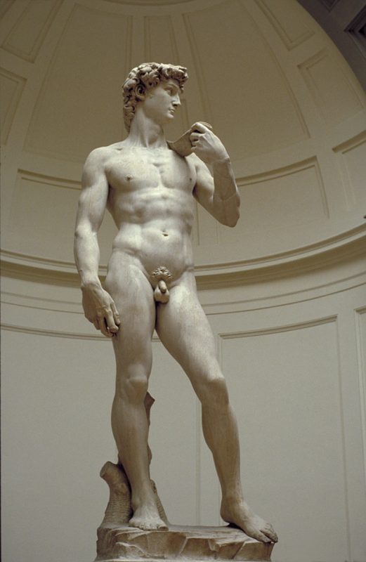 Michelangelo's Statue of David at the Accademia Gallery in Florence, Italy. 