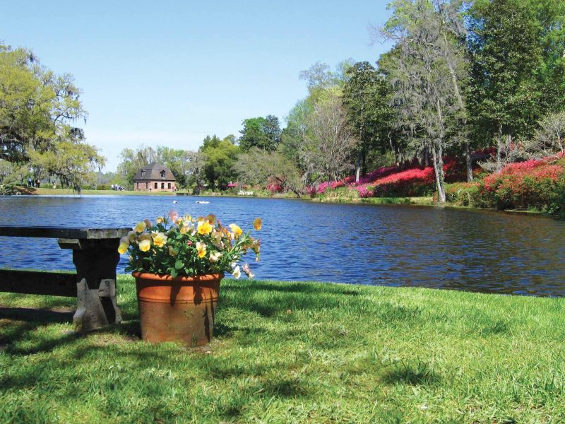 Spend time at pretty Middleton Place Lake in Charleston, part of Middleton Place, a National Historic Landmark.