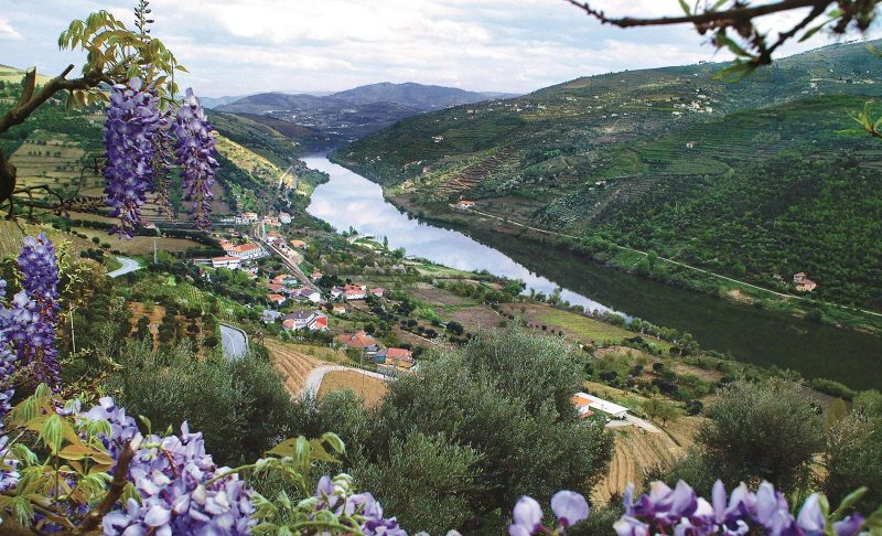 AmaDouro