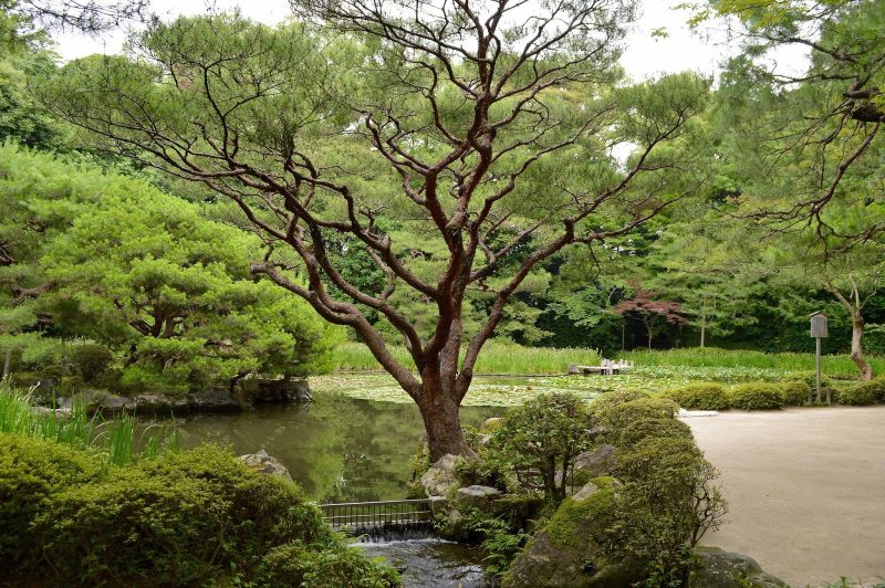 Japan: Gardens, temples & a rich culture