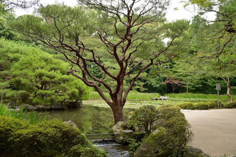 Japan: Gardens, temples & a rich culture