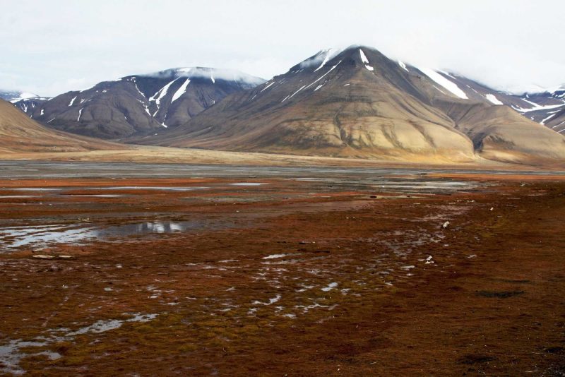 Guests of Hurtigruten Fram will experience the pristine, untouched landscape of Norway's Svalbard islands during their cruise.