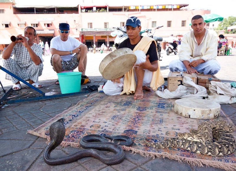 Snake charmers in the Jemaa el-Fnaa public square of Marrakesh, Morocco.