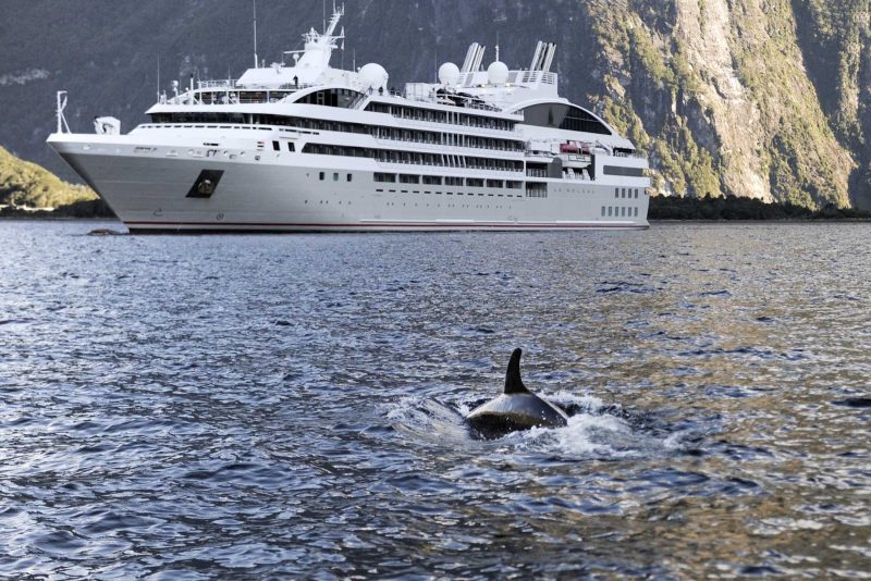 Watch orca whales from the comfort of Ponant's intimate luxury yacht Le Soleal.