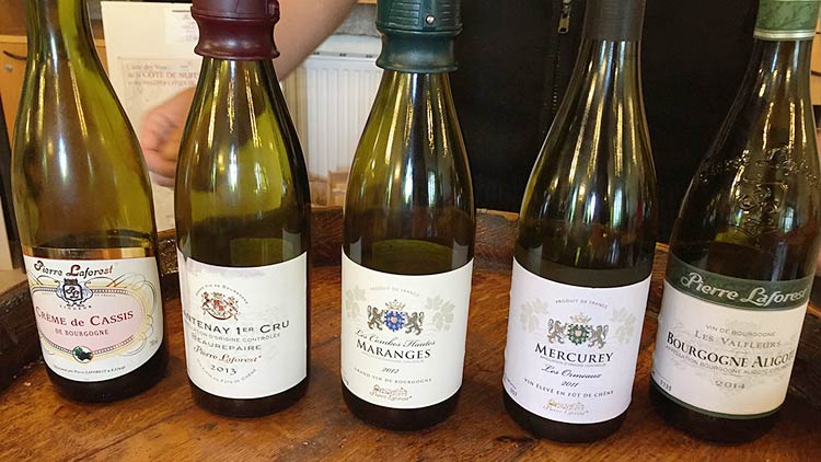 Wine tasting at Le Clos de Vougeot Winery.
