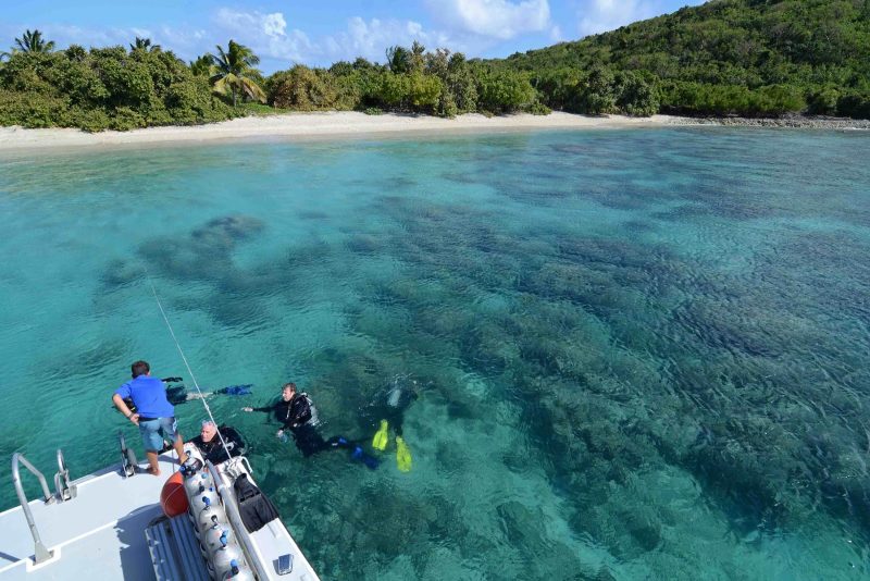 Culebra, with its history of army bombing range has a lot of ruined reefs. The good news is that it has even more undisturbed, pristine and remote dive sites.
